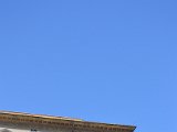 DSC_0418.JPG