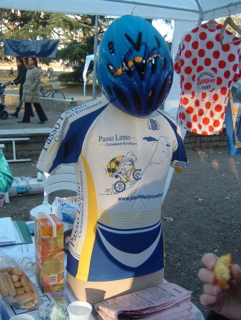 2005031306
