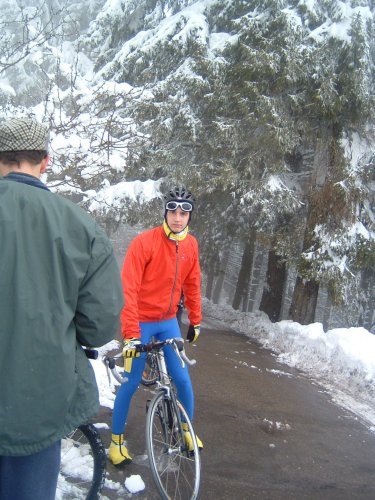 2006022603