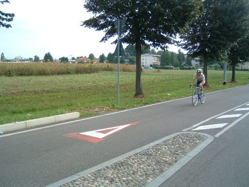 2006092446