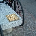 DSCF0027