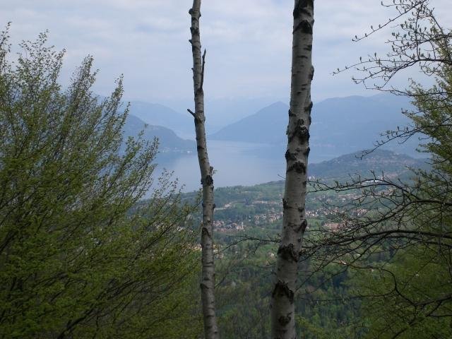 2008042548