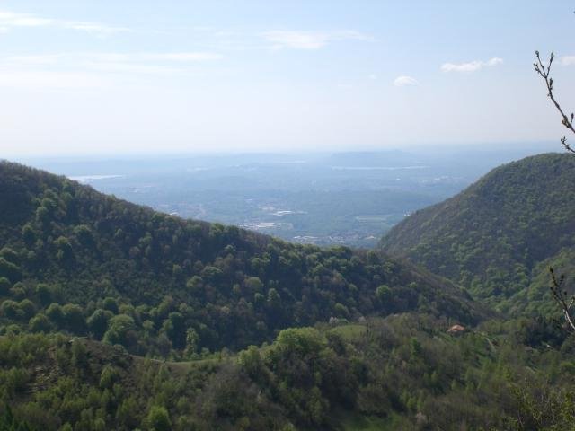 2008042551