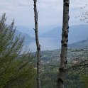 2008042548