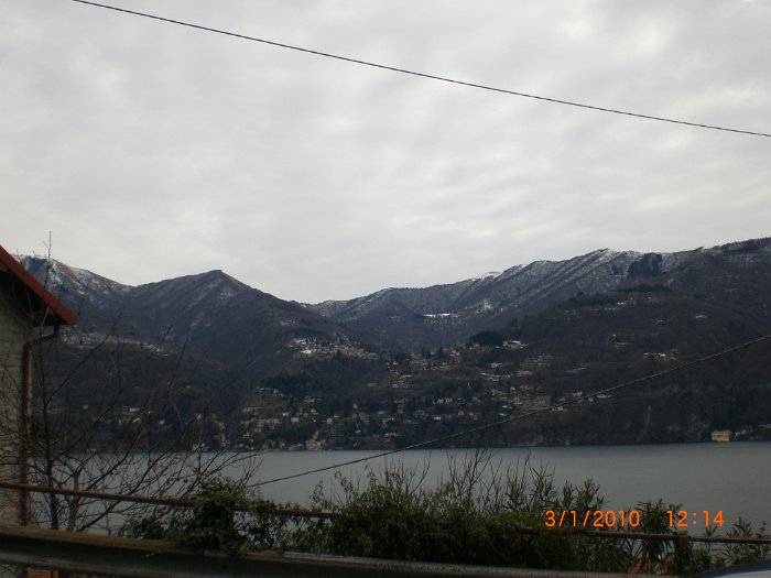 2010011006
