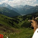 sportograf-10522605