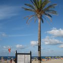 IMG_4768