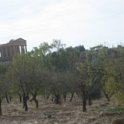 IMG_4780