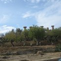 IMG_4781