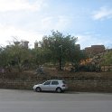 IMG_4782