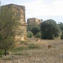 IMG_4784