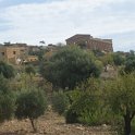 IMG_4785