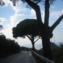 IMG_4879
