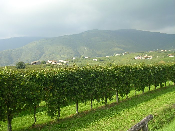 SANY0095