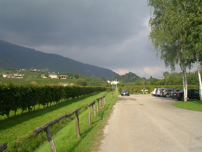 SANY0096