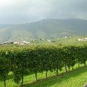SANY0095