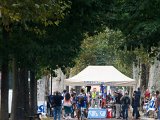 IMG_7747.jpg