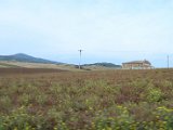 DSC_0158.jpg