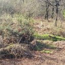 IMG-20160410-WA0036