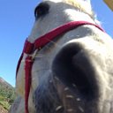 IMG-20160424-WA0042