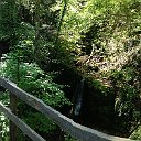 IMG_0061