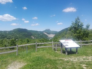 IMG_20190601_141926