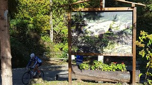 IMG-20191027-WA0015
