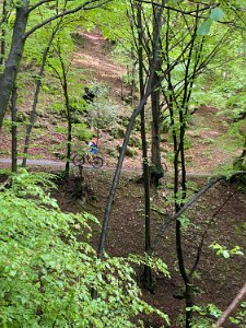 IMG_1294
