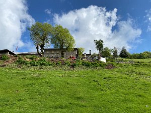 IMG_1296