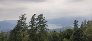 IMG_20220717_093516
