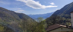 IMG_20230425_094040_BURST1