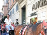 DSC_0352.JPG