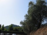 IMG_5289.JPG