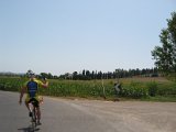 IMG_5290.JPG