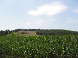 IMG_5291.JPG