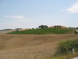 IMG_5343.JPG