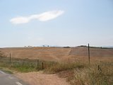 IMG_5344.JPG