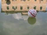 IMG_5358.JPG