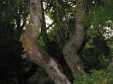 IMG_5361.JPG