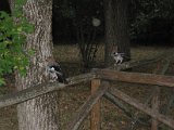 IMG_5362.JPG