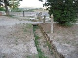 IMG_5366.JPG