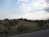 IMG_5371.JPG