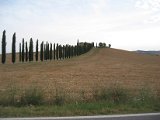 IMG_5373.JPG
