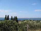 IMG_5378.JPG