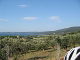 IMG_5379.JPG