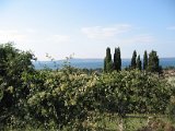 IMG_5380.JPG